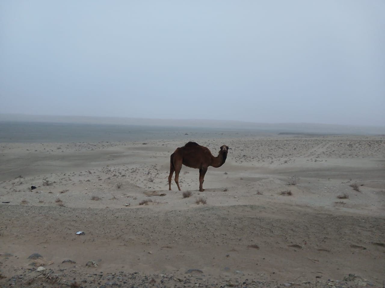 8-Day Tour: Ashgabat – Yangykala – Turkmenbashi – Merv – Darvaza – Kunya-Urgench