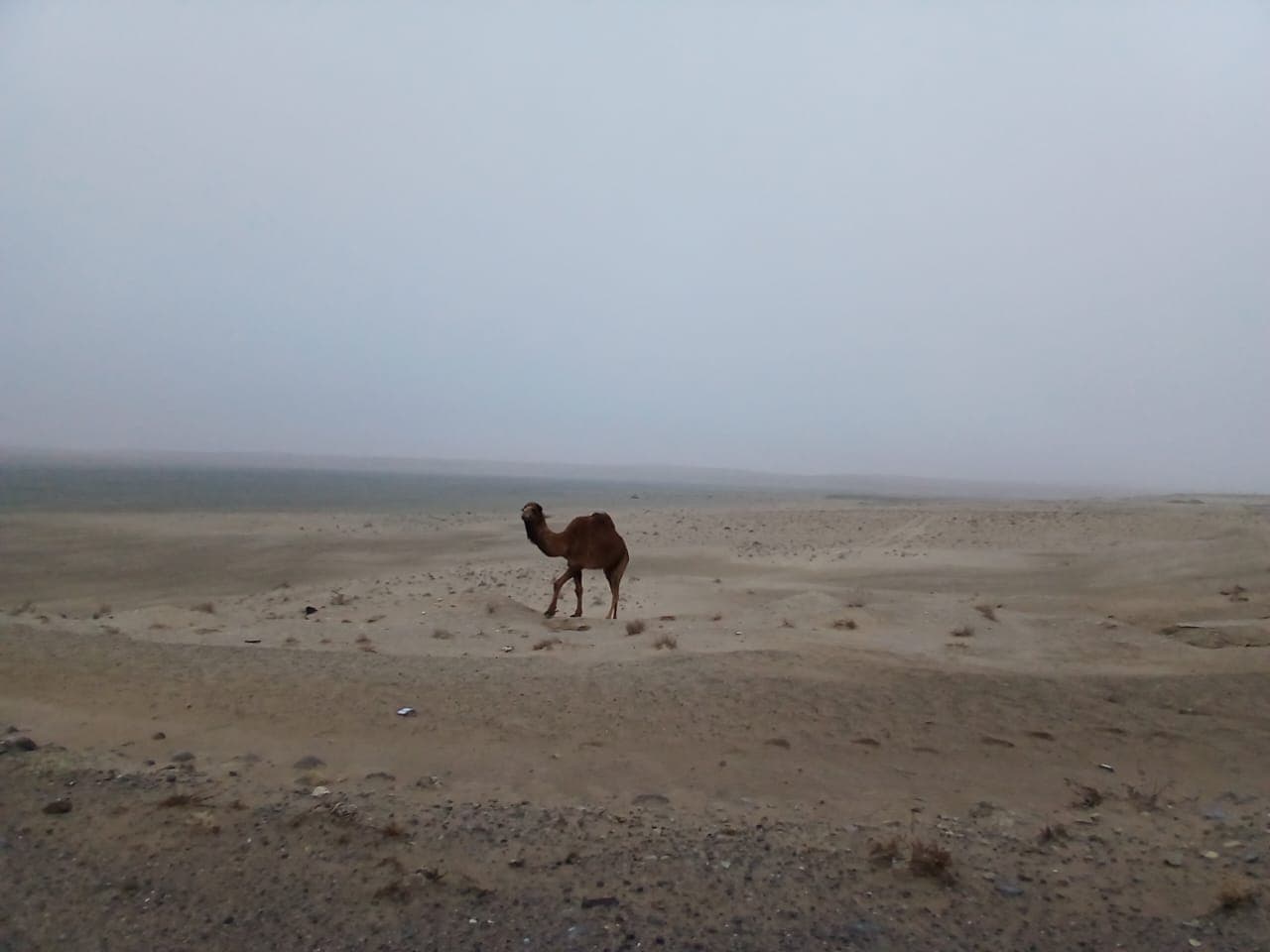 3 Day Tour: Shavat – Kunya-Urgench – Darvaza – Ashgabat
