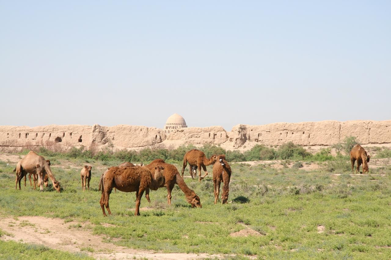 Destination in Central Asia